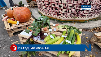В Иванове прошел традиционный «День урожая»